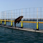 Anti-Seal Stanchions
